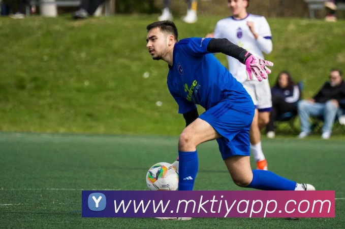 MK体育app服务体系